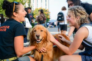 Feeling lonely? Campus therapy dogs may be the fix, study says